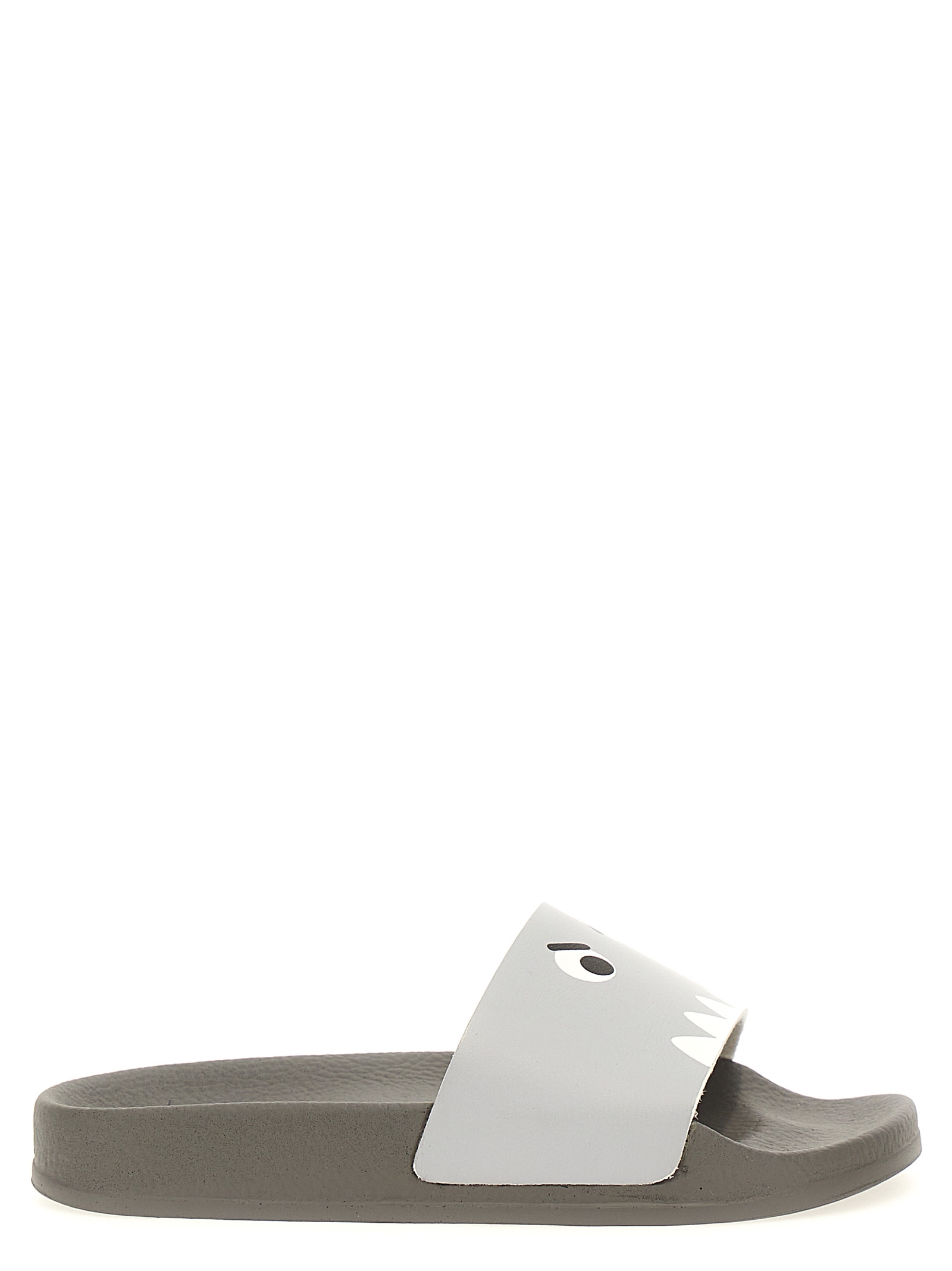 Printed slides