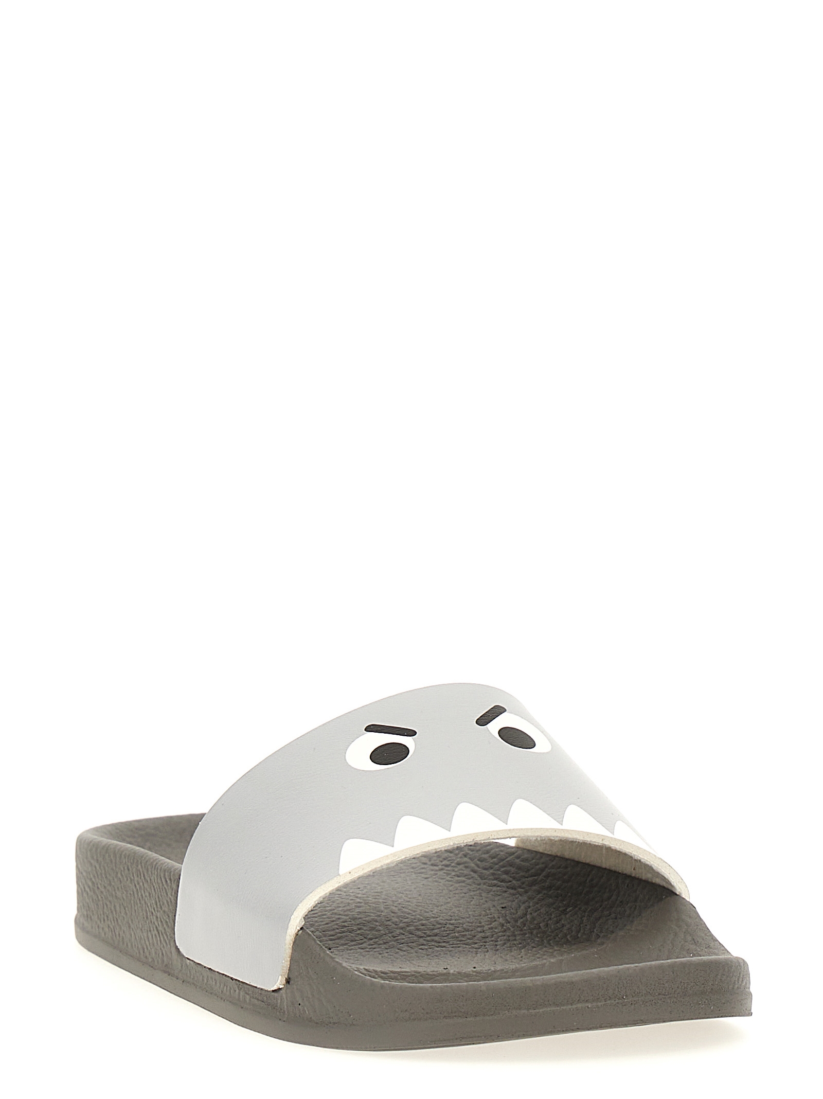Printed slides