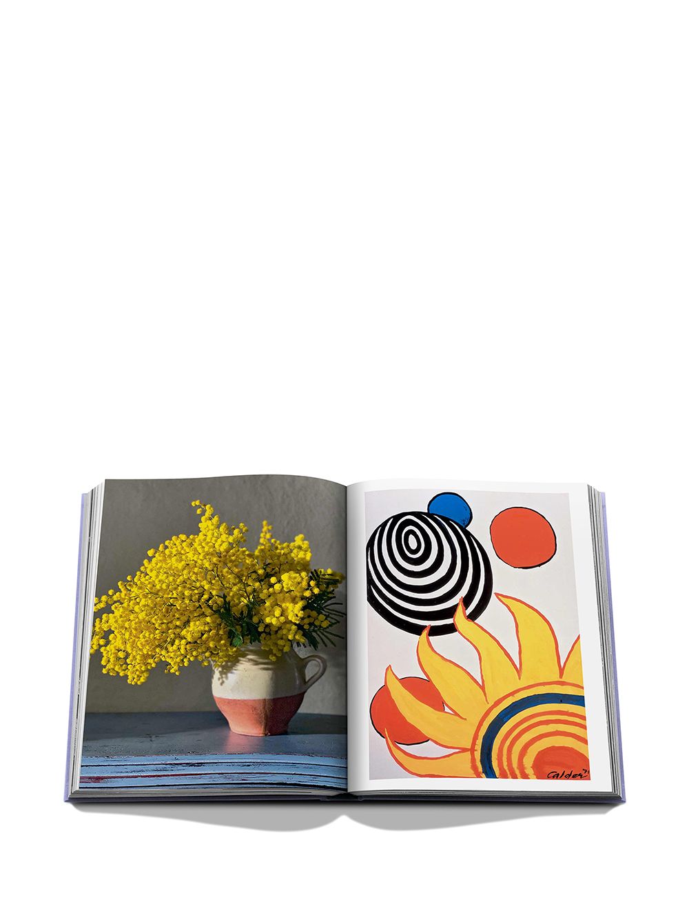 ASSOULINE Living
